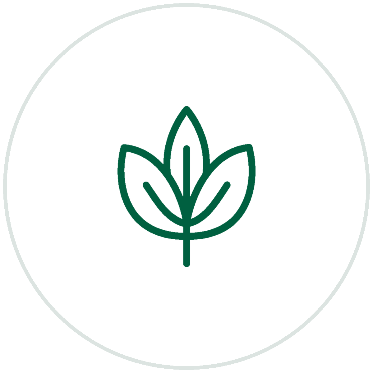 Health & Wellness